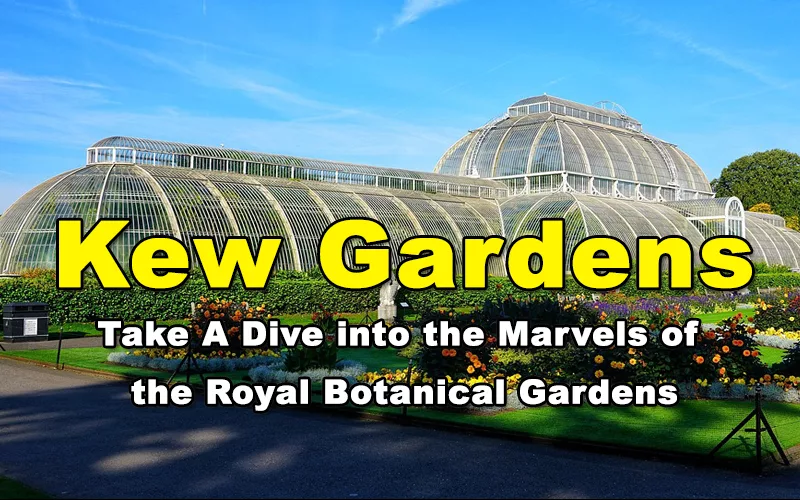 You are currently viewing Kew Gardens – Take A Dive into the Marvels of the Royal Botanical Gardens