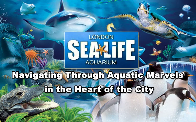 Read more about the article SEA LIFE London Aquarium – Navigating Through Aquatic Marvels in the Heart of the City